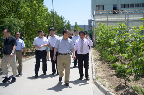 抚玩中山苗木专业协作社