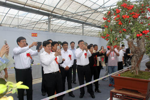 第三届中国•沭阳花木节本日昌大揭幕