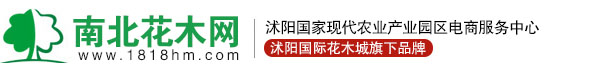 南北上海花千坊 验证