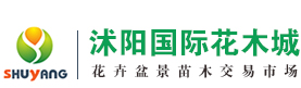 沭阳国际花木城