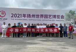 沭阳县新河镇花木协会