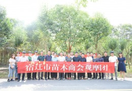 宿迁市苗木商会