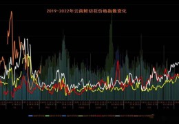 后疫情下剧变的花草行情 | 2022天下花草产销情势阐发会