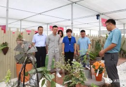沭阳县花木电商协会