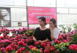 【电商财产】沭阳县人社局：依靠特点财产 助推“电商”成长