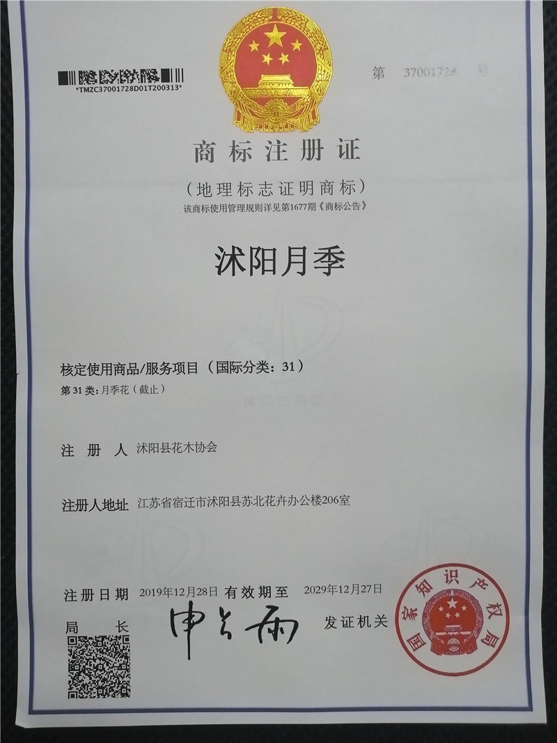 沭阳月季——国度地舆标记牌号