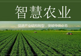 我国聪明农业生长近况