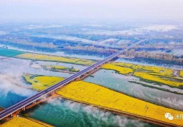 2022春季苗木行情若何？看看专家怎样说