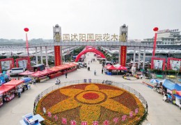 第十届沭阳花木节苗木盆景资材展销会炽热开启！
