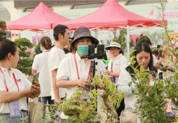 【图集】第十届沭阳花木节主播剪影
