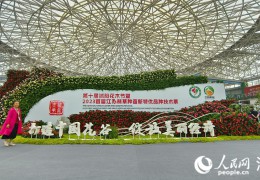 [国民网]江苏沭阳进行2023金秋经贸招商洽商会 签约43个名目总投资330亿