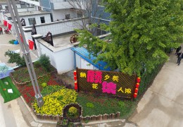 【花费日报网】沭阳颜集镇：斑斓天井“方寸地” 开出村落“致富花”
