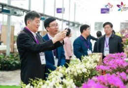 首届上海年宵花市岑岭服装服装服装论坛t.vhao.nett.vhao.nett.vhao.net在沪进行