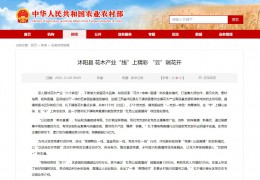 【农业村落部】沭阳县 花木财产“线”上出色 “云”端花开