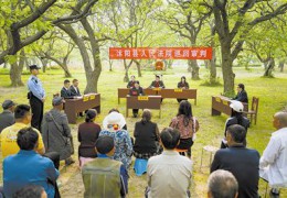 国民法院报：江苏沭阳法庭搬进古栗林