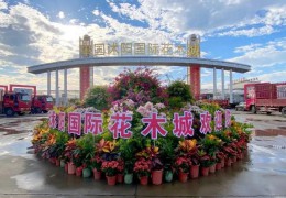2024沭阳国际花木城盆景资材展销会胜利进行！