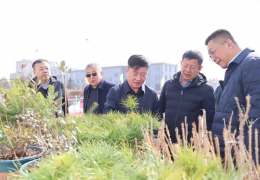 龙江森工团体进行首届苗木展销会
